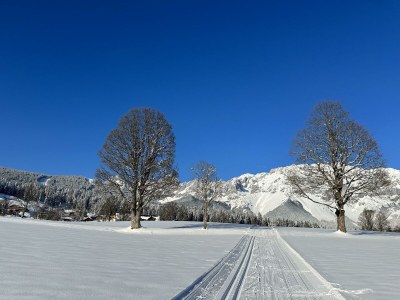 Apartment Apartment 1 - Outdoor photo 8