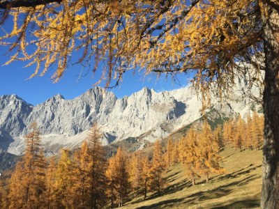 Apartment Apartment 1 - Outdoor photo 15