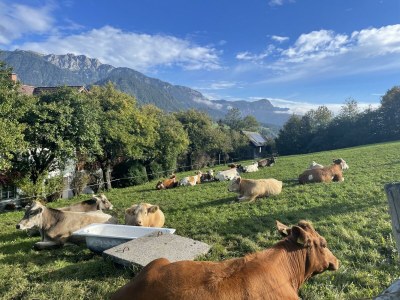 Apartment Apartment Planai - Outdoor photo 16