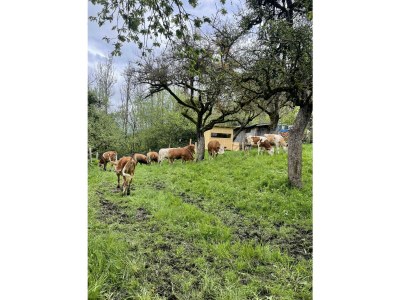 Apartment Apartment Planai - Outdoor photo 17