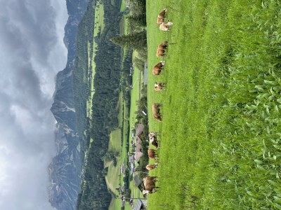 Apartment Apartment Planai - Outdoor photo 18