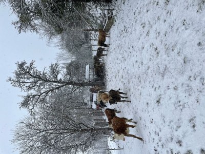 Apartment Apartment Planai - Outdoor photo 19