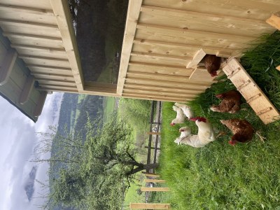 Apartment Apartment Planai - Outdoor photo 20