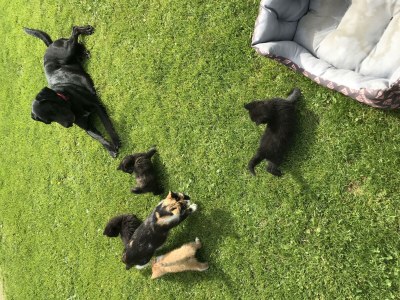 Apartment Apartment Planai - Outdoor photo 21