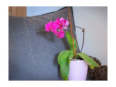 Holiday room Doppelzimmer mit Dusche, WC - Outdoor photo 8