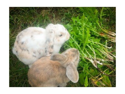 Holiday room Doppelzimmer mit Dusche, WC - Outdoor photo 9