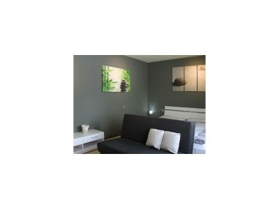 Apartment Apartment/Wohn-Schlafraum/Dusche, WC - Features photo 3