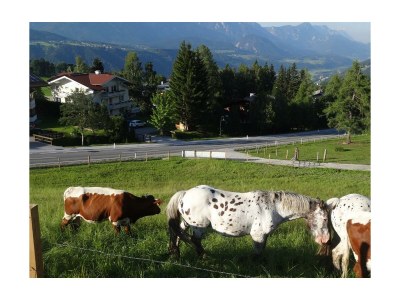 Apartment Appartement "Hochwurzen" - Outdoor photo 21