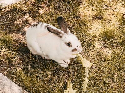 Apartment Torstein/1 Schlafraum - Outdoor photo 21