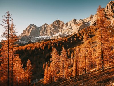 Apartment Ennstal/2 Schlafräume - Outdoor photo 31