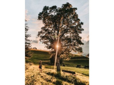 Apartment Ennstal/2 Schlafräume - Outdoor photo 32