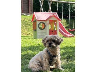 Holiday room Doppelzimmer, Dusche, WC - Outdoor photo 7