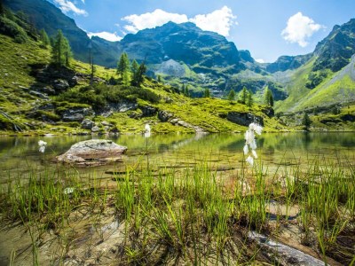 Apartment Appartement, 1 Schlafraum, Dusche, WC - Outdoor photo 32