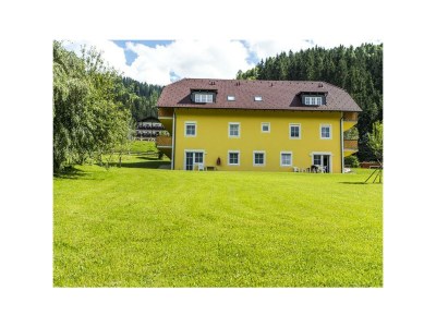 Apartment TOP 2 - App., Dusche, WC, 2 Schlafräume in Haus im Ennstal - Apartment