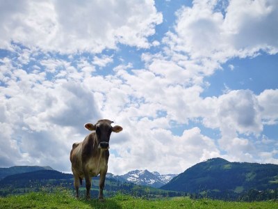 Apartment App. 6 - 2 Schlafräume, Dusche, WC - Outdoor photo 5