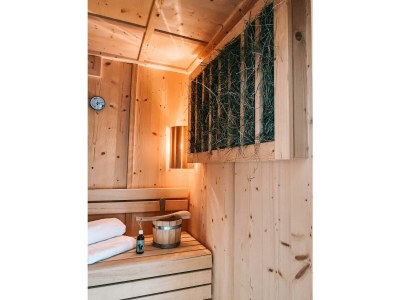 Apartment Almhütte "Ålmerin" - 4 Schlafzimmer, 2 Bäder - Outdoor photo 11