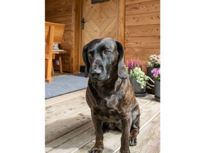 Apartment Almhütte "Ålmerin" - 4 Schlafzimmer, 2 Bäder - Outdoor photo 13