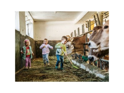 Apartment Appartement mit 1 Schlafzimmer (Kurzbucherrate) - Outdoor photo 14