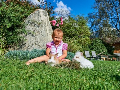 Apartment Appartement mit 1 Schlafzimmer (Kurzbucherrate) - Outdoor photo 17