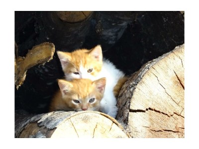 Apartment Appartement mit 1 Schlafzimmer (Kurzbucherrate) - Outdoor photo 37