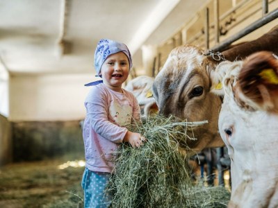 Apartment Appartement mit 1 Schlafzimmer (Kurzbucherrate) - Outdoor photo 46