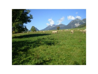 Apartment Apartment/2 Schlafräume/Dusche, WC - Outdoor photo 10