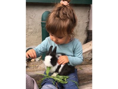 Apartment Apartment/2 Schlafräume/Dusche, WC - Outdoor photo 23