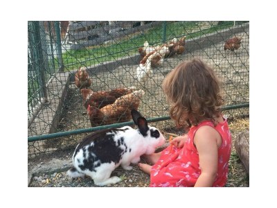 Apartment Apartment/2 Schlafräume/Dusche, WC - Outdoor photo 24