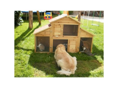 Apartment Apartment/1 Schlafraum/Dusche, WC - Outdoor photo 13