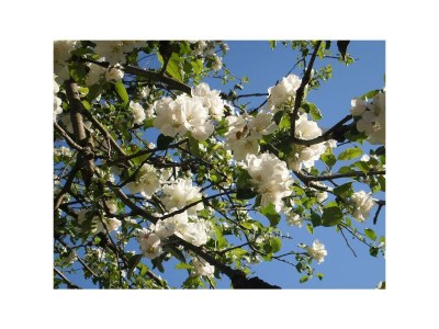 Apartment Apartment/1 Schlafraum/Dusche, WC - Outdoor photo 15