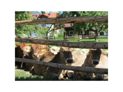 Apartment Apartment/1 Schlafraum/Dusche, WC - Outdoor photo 16