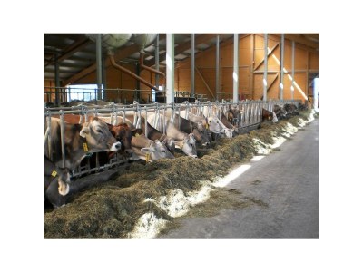 Apartment Apartment/1 Schlafraum/Dusche, WC - Outdoor photo 20