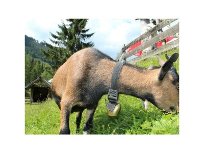 Apartment Apartment links - Outdoor photo 9