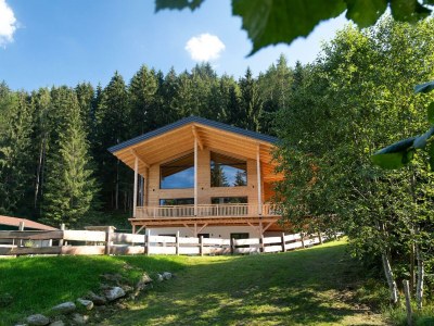 Apartment Apartment links - Features photo 17