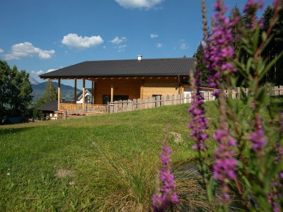 Apartment Apartment links - Features photo 24