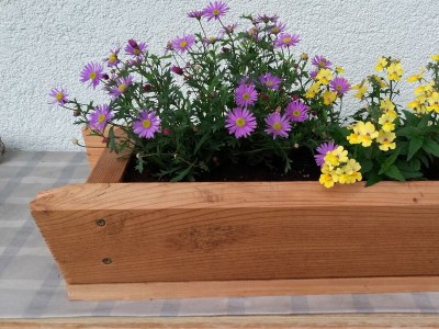 Apartment Apartment/1 Schlafraum/Dusche, WC - Outdoor photo 8