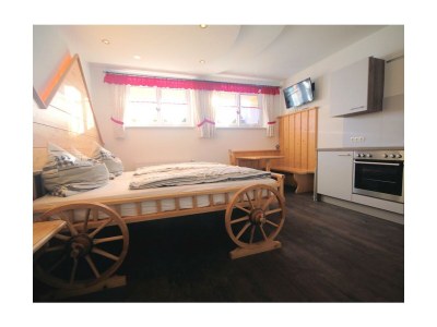 Apartment App. Leiterwagerl & App. Heustadl - Outdoor photo 4