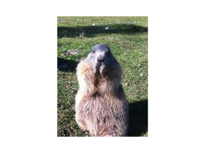 Apartment Appartement/Fewo, Bad, WC, 3 Schlafräume - Outdoor photo 22