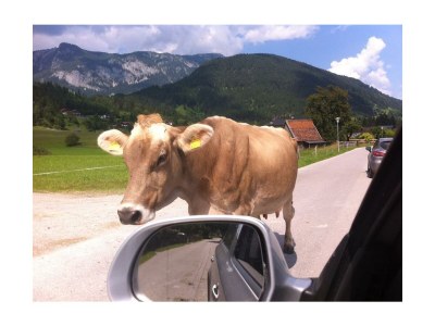 Apartment Appartement/Fewo, Bad, WC, 3 Schlafräume - Outdoor photo 26