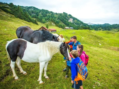Apartment Appartement/Fewo, Wohn-/Schlafraum, Dusche, WC - Outdoor photo 6