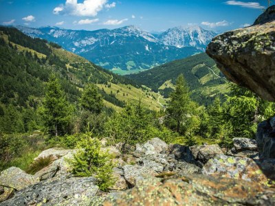 Apartment Appartement/Fewo, Wohn-/Schlafraum, Dusche, WC - Outdoor photo 7