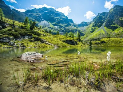 Apartment Appartement/Fewo, Wohn-/Schlafraum, Dusche, WC - Outdoor photo 24