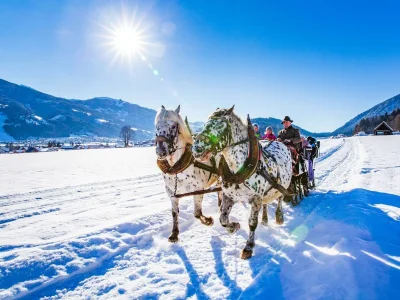 Apartment Appartement/Fewo, Wohn-/Schlafraum, Dusche, WC - Outdoor photo 32