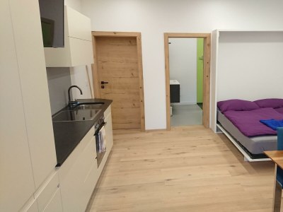 Apartment Appartement/Fewo, Wohn-/Schlafraum, Dusche, WC - Features photo 37