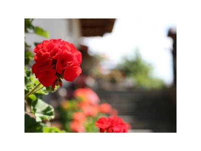 Apartment Planai - App./2 Schlafräume/Dusche, WC - Outdoor photo 17