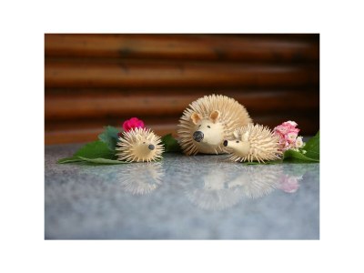 Apartment Planai - App./2 Schlafräume/Dusche, WC - Outdoor photo 20