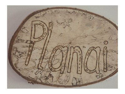 Apartment Planai - App./2 Schlafräume/Dusche, WC - Features photo 30