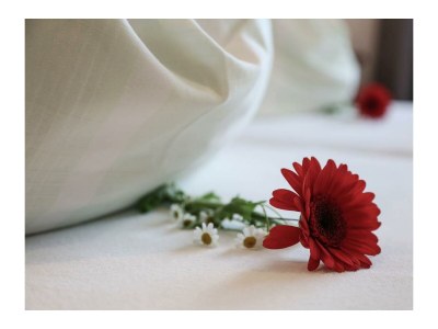 Apartment Planai - App./2 Schlafräume/Dusche, WC - Features photo 38