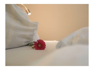 Apartment Planai - App./2 Schlafräume/Dusche, WC - Features photo 42