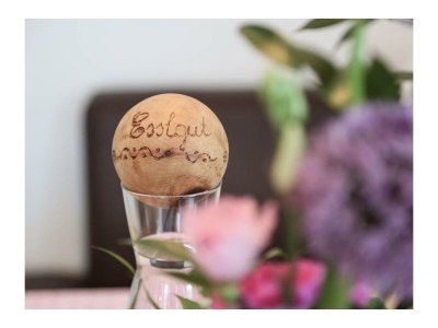 Apartment Planai - App./2 Schlafräume/Dusche, WC - Features photo 51